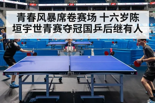 table tennis match action