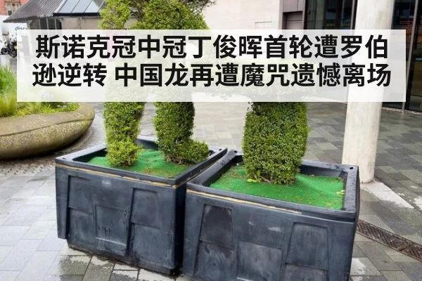 斯诺克冠中冠丁俊晖首轮遭罗伯逊逆转 中国龙再遭魔咒遗憾离场